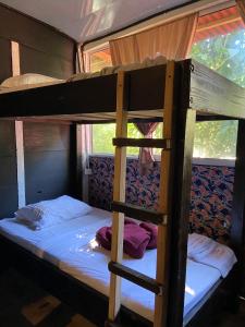 two bunk beds in a room with a ladder at Hostal Las Mariposas Minca in Minca