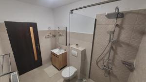 a bathroom with a shower and a toilet and a sink at Casa 115 Toplița in Topliţa