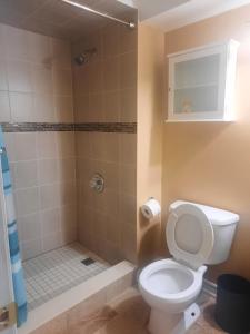 La salle de bains est pourvue d'une douche et de toilettes. dans l'établissement One bedroom basement suite with private living room and laundry., à Brampton
