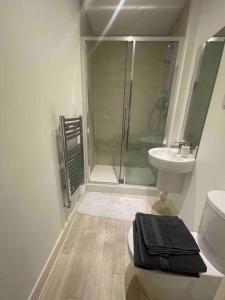 een badkamer met een douche, een toilet en een wastafel bij Beautiful Modern Tranquil Two Bedroom Apartment in Swanscombe