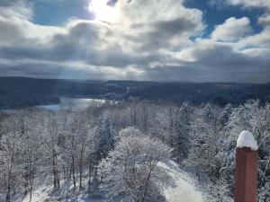 ウェークフィールドにあるAuberge Krönの雪に覆われた森と湖の景色 +8枚の写真