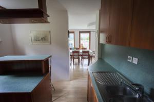 Köök või kööginurk majutusasutuses Villa Bohinj
