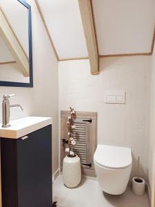 a bathroom with a toilet and a sink at Cichosza domek w Szczyrku in Szczyrk