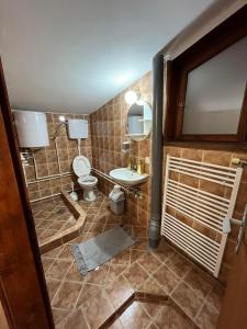 een badkamer met een toilet en een wastafel bij 9 mezeta in Pirot