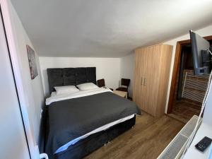 een slaapkamer met een bed en een flatscreen-tv bij 9 mezeta in Pirot