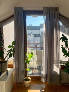 um quarto com uma varanda com uma janela com plantas em Apartment Kvadar em Banja Luka