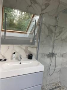 bagno bianco con lavandino e doccia di Appartement à Poissy a Saint-Germain-en-Laye