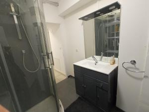 ein Bad mit einem Waschbecken und einer Glasdusche in der Unterkunft Chez François: appartement 3 chambres 4 personnes in Saint-Avold