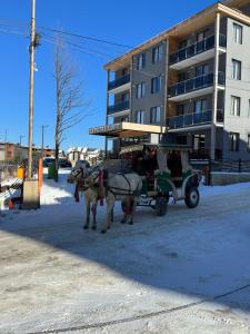 a horse drawn carriage in front of a building at Bakuriani Crystal Loft in Bakuriani