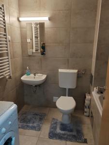 a bathroom with a toilet and a sink at Apartman SM in Sremska Mitrovica