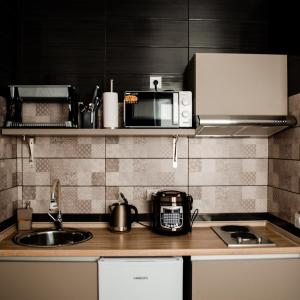 a kitchen with a sink and a microwave at Гостьовий Будинок Апартаменти в тихому центральному районі Полтави Смарт-квартири in Poltava