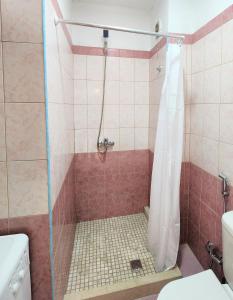 a bathroom with a shower with a sink and a toilet at Dream in Durrës