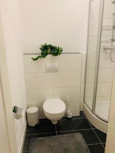 a bathroom with a toilet and a shower with a plant at Ferienwohnung in Aistersheim 