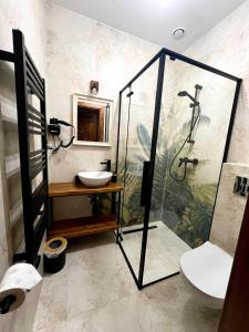 a bathroom with a shower and a sink and a toilet at Rozeta in Witów