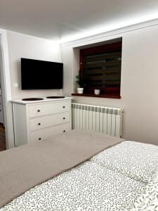 1 dormitorio con 1 cama con TV y vestidor en Willa Anna, en Zakopane