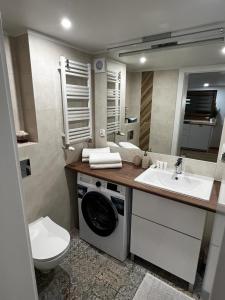 a bathroom with a sink and a washing machine at Willa Anna in Zakopane