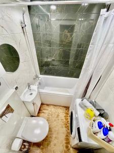 een badkamer met een toilet, een douche en een wastafel bij New Stylish Apartment City Center in Narva