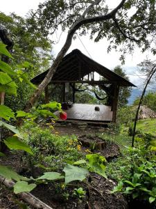 einen Pavillon inmitten eines Feldes in der Unterkunft Ecofinca in the mountains Azulita House in Cocorná