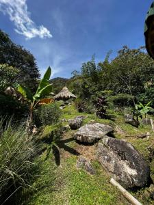 un campo con rocas y árboles en Ecofinca in the mountains Azulita House, en Cocorná