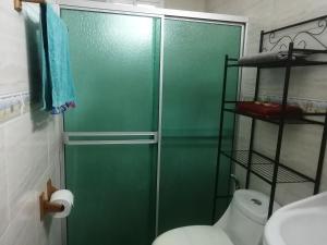 La salle de bains est pourvue d'une porte de douche verte et de toilettes. dans l'établissement Cerca del aeropuerto HABITACIÓN INDEPENDIENTE CON BAÑO PRIVADO Área muy tranquila entre chanis y costa del este, à Panama City