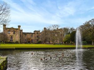 a group of ducks swimming in a pond in front of a castle at Mabels Stable in Clitheroe