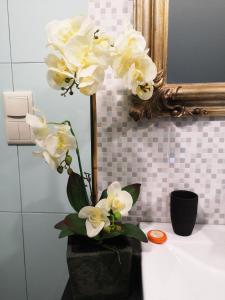 アヴェイロにあるQuinta das Águiasのバスルームのカウンターに白い花瓶