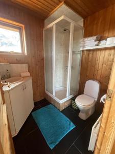 a bathroom with a toilet and a sink and a shower at Glass House with Private River & 360° Views in Arnarstapi
