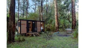 una cabaña en el bosque con una mesa de picnic y una parrilla en Quantum Field en Toolangi