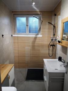 a bathroom with a shower and a sink at GITE DES BOULEAUX in Maîche