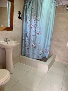 y baño con cortina de ducha, aseo y lavamanos. en Hamuy's Lodge, en Ica