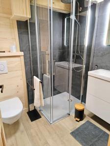 e bagno con doccia, servizi igienici e lavandino. di Chalet du Bonheur a Saint-Gervais-les-Bains