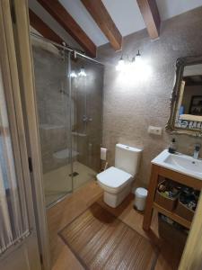 a bathroom with a shower and a toilet and a sink at Casa Coba 