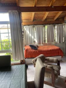 ein Schlafzimmer mit einem Bett in einem Zimmer mit Fenstern in der Unterkunft Casa con pileta "CACHAPATAGONICA" calle Junin 1877 in Viedma