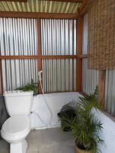 a bathroom with a toilet and plants in it at Lagkaw Uno in Lagkaw Homestay in Panglao