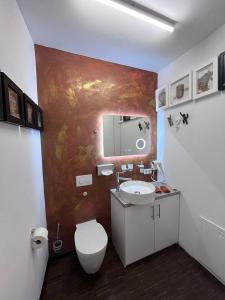 La salle de bains est pourvue de toilettes, d'un lavabo et d'un miroir. dans l'établissement GALERIE-SUITE-11, à Marktheidenfeld