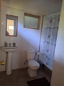 a bathroom with a toilet and a sink at Ruca lemu lodge in San Antonio