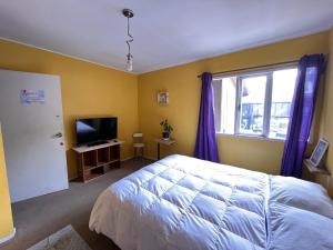 1 dormitorio con 1 cama, TV y ventana en Espacio Mycelium, en Coyhaique