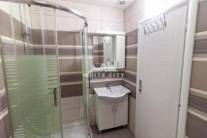 uma casa de banho com um lavatório e uma cabina de duche em vidro. em Townhouse - WHITE CITY Apartments em Belgrado