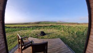 a view of a dog laying in a field from a window at Two Peas in a Pod in Holyhead