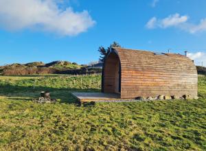 un petit bâtiment en bois dans un champ avec une pelouse dans l'établissement Two Peas in a Pod, à Holyhead