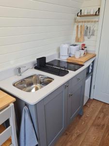 a kitchen counter with a sink and a stove at Two Peas in a Pod in Holyhead