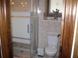 a bathroom with a toilet and a glass shower at Casa Rural Laguao in Abárzuza +27 photos