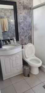 y baño con aseo, lavabo y ducha. en Casa de Campo full equipada en San Vicente de Taguatagua