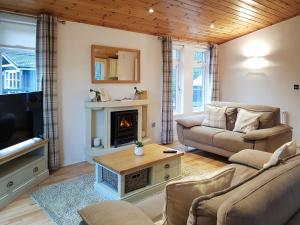 a living room with a couch and a fireplace at Kingfisher Lodge - Uk46046 in Balloch