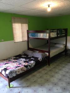 a bedroom with two bunk beds and a green wall at Hostal Camping Beach in Salinas
