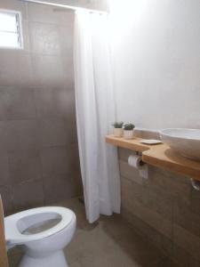 La salle de bains est pourvue de toilettes blanches et d'un lavabo. dans l'établissement CASITA PINTORESCA EN LAS SIERRAS Y LAGO, à San Roque