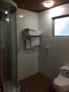 a bathroom with a shower and a toilet and towels at Cabañas Rahue in Vilches +68 photos