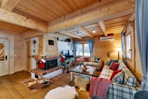 a living room with a couch and a fireplace at Marusina Chalets in Szaflary