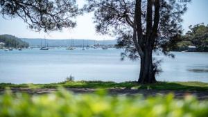 a tree sitting next to a body of water with boats at 'Reverie' by HolidayCo in Hardys Bay