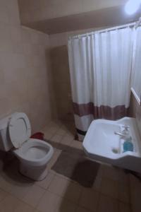a bathroom with a toilet and a shower and a sink at 3 ambientes a la calle en zona céntrica Plaza Mitre in Mar del Plata